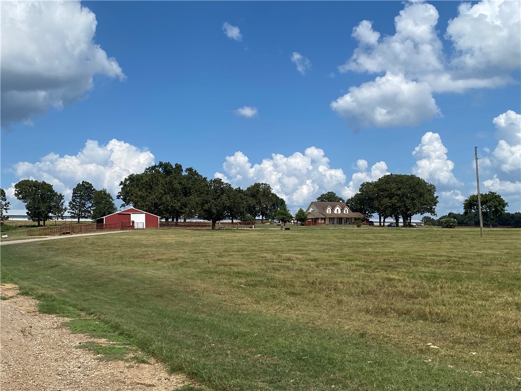 Chickens and country - Farm