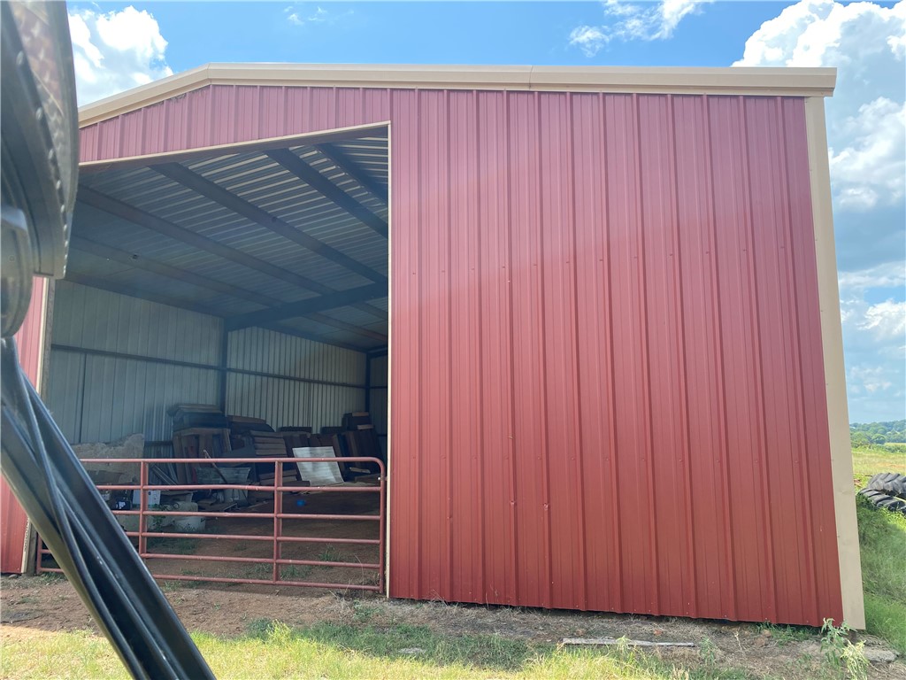 Chickens and country - Farm