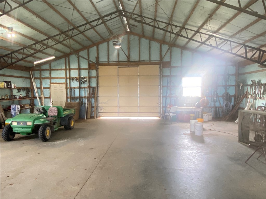 Chickens and country - Farm