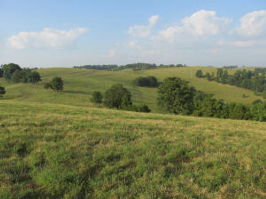 Great grass farm. No brush, good fences including plenty of cross fences. Barn and other bldgs.Three corralls, Plenty of water with some running and lot of ponds. Deep well with some water piped into automatic water in close pasture. Well located in Harrison Schools and only 1/2 mile off paved rd.