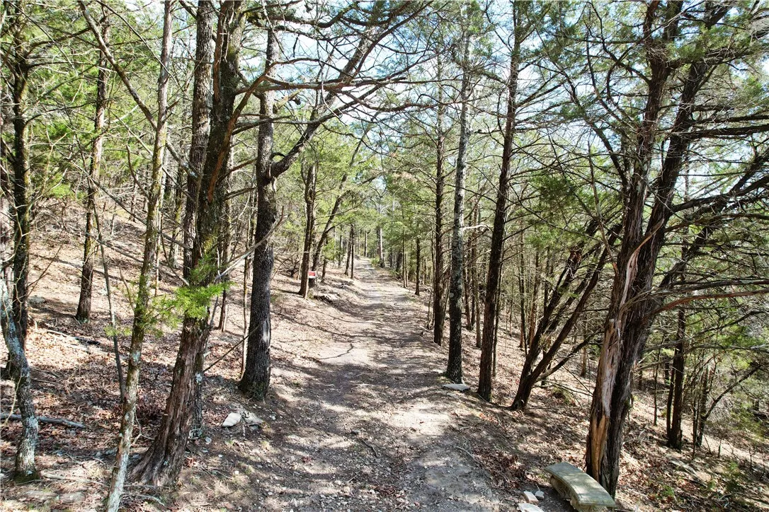 Garfield, Arkansas 72732, United States, ,Land,Active,168318