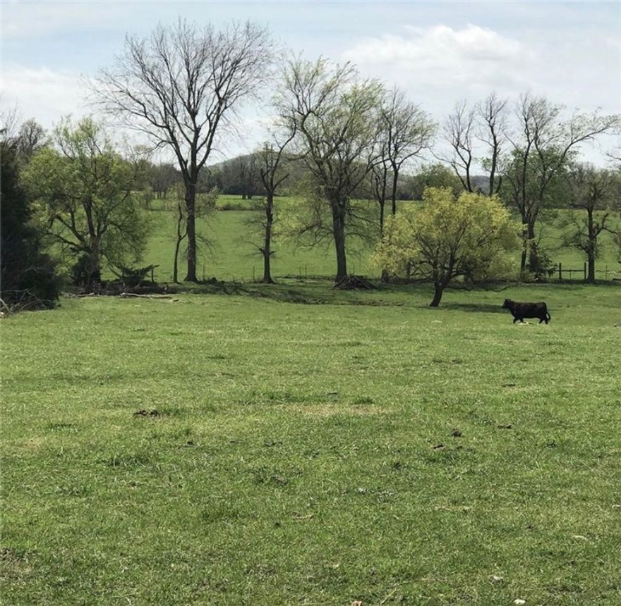 160 Acres! Pasture, don’t miss this awesome land!