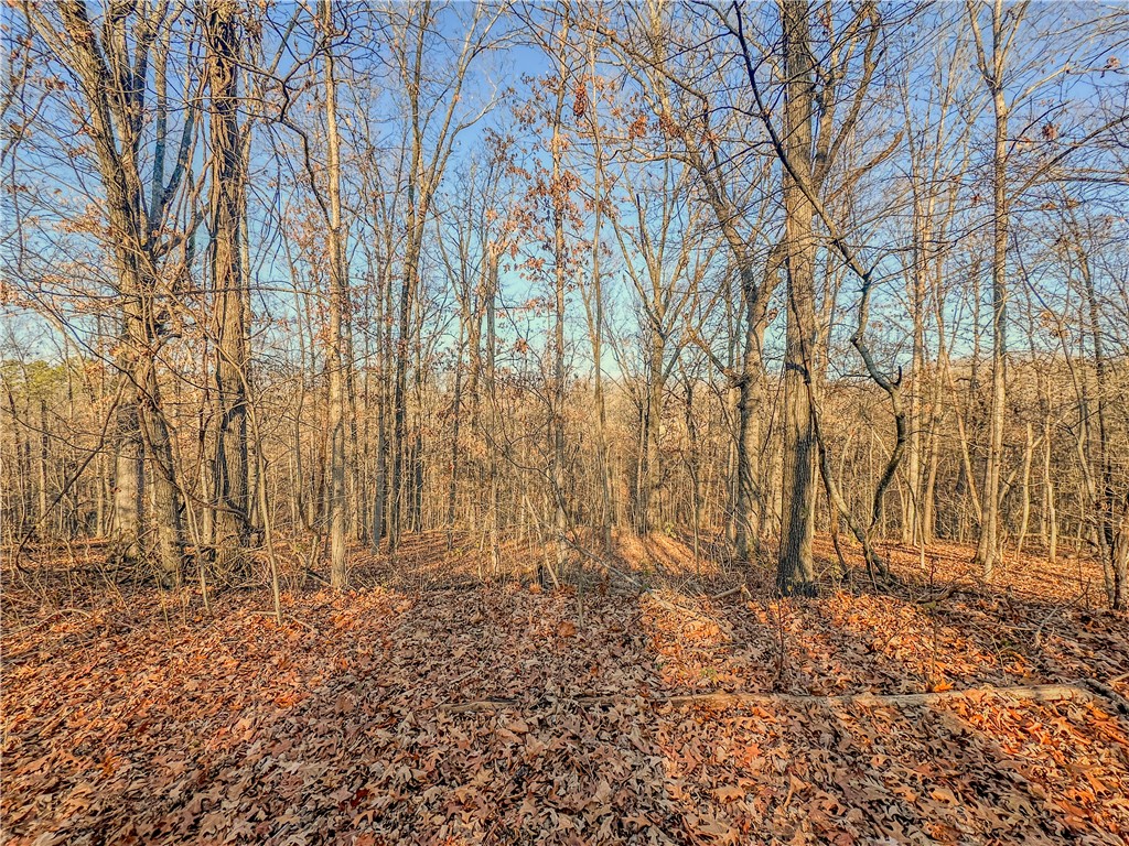 Bedford Sub Bvv - Land