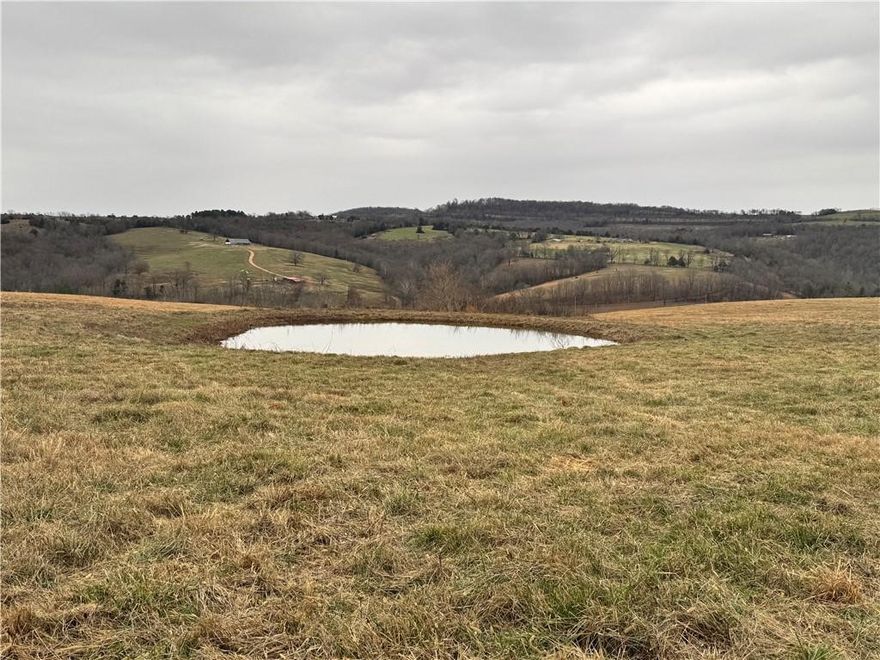 Discover the perfect blend of peace, privacy, and opportunity with this expansive 102-acre property just minutes from Huntsville. Mostly cleared gently rolling hills, it's an ideal setting for cattle, horses, or your dream country home With 3 spaced-out ponds, a natural spring, fencing around the property, and easy access to HWY 74, the possibilities are endless! Enjoy convenient utilities like fiber optic, electricity, and rural water close by. Come see this stunning property today and make it yours!