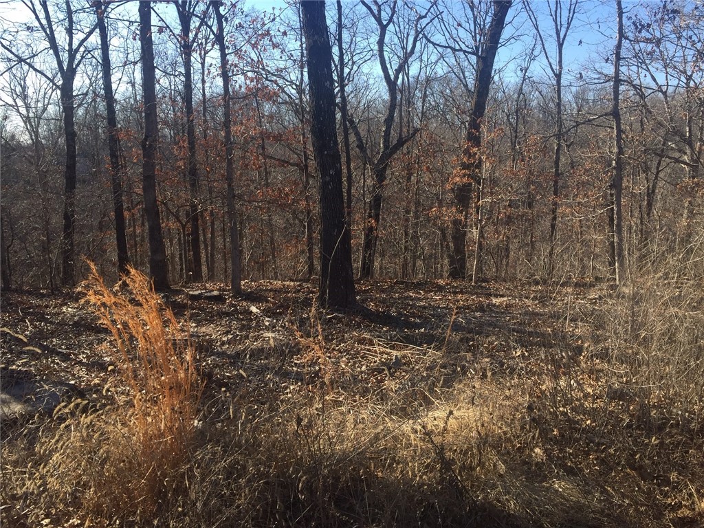 Buildable lot overlooking a view of the sun setting, Bentonville Schools,