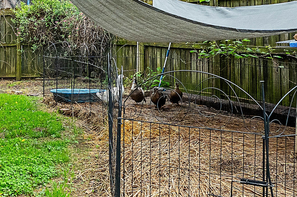 Maloree Woods Add Siloam Spgs - Residential