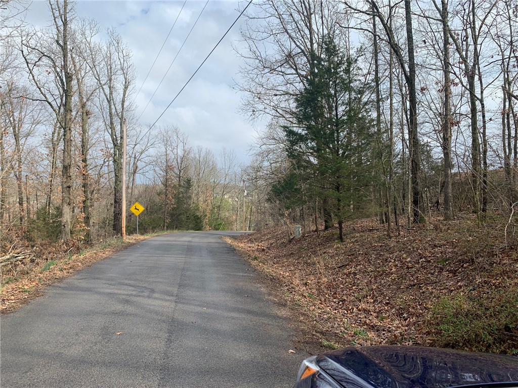 Nice buildable lot Slightly sloping good lot for building your new home.