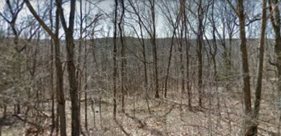 Beautiful lot in Bella Vista. This 1.13-acre lake area property is located near Lake Loch Lomond with access to public boat launch. Marina and lake front dining nearby, as well as biking trails. Property is in an established neighborhood, but very secluded. Numerous wildlife can be found on the property and in the area in abundance. Short drive into Bentonville via the Bella Vista Bypass. Perfect opportunity to build your dream home.