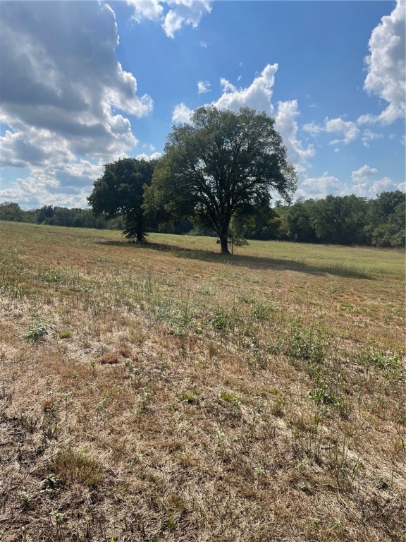 Tract B has 18.38 acres of pasture and timber. Excellent place to build or bring in a Mobile Home. Seasonal Creek runs through property and this tract includes a small rustic Cabin that needs some TLC. Hiking Trails and plenty of wildlife. Great opportunity for pasture, hunting, timber, hiking trails, seasonal creek and a excellent building site. Deed Restrictions include No mobile homes over 15 years old, No commercial chicken or Hog houses, No junk cars or piles or trash. This property is part of Carroll County, Ar. parcel # 001-05272-001