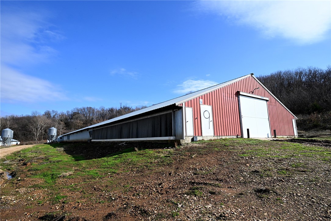 winner winner chicken dinner - Farm