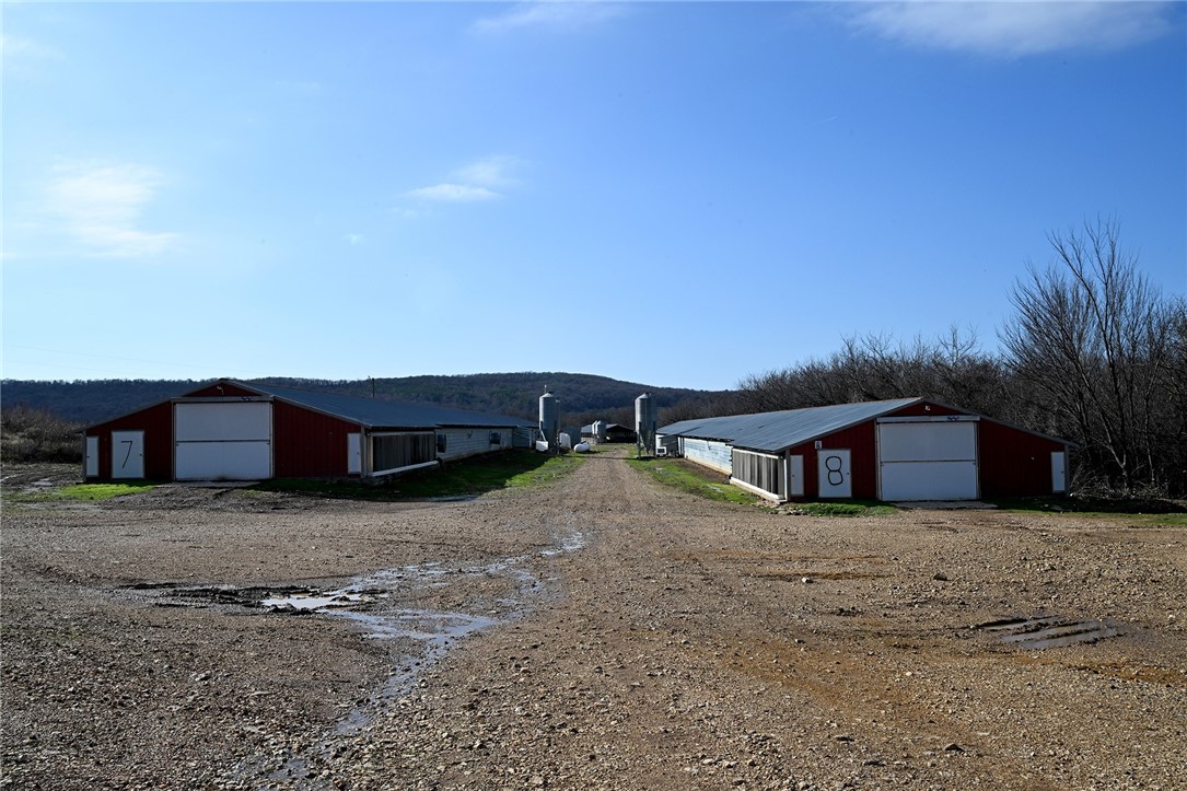 winner winner chicken dinner - Farm