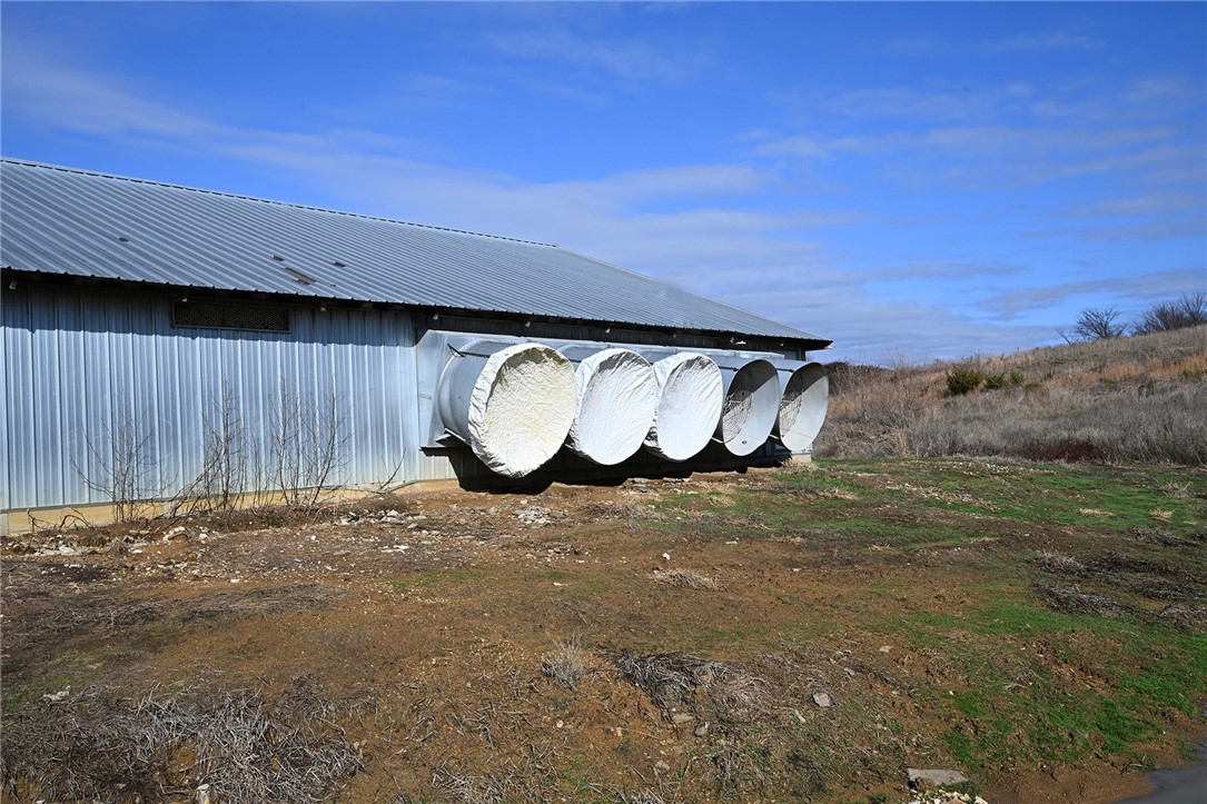 winner winner chicken dinner - Farm