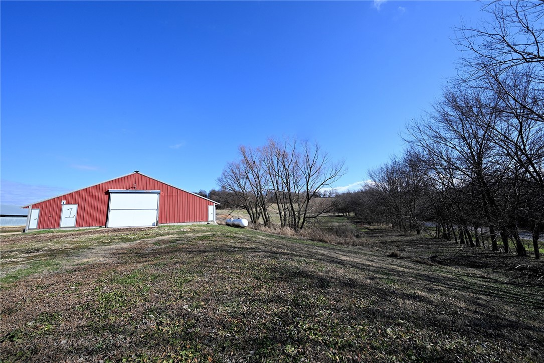 winner winner chicken dinner - Farm