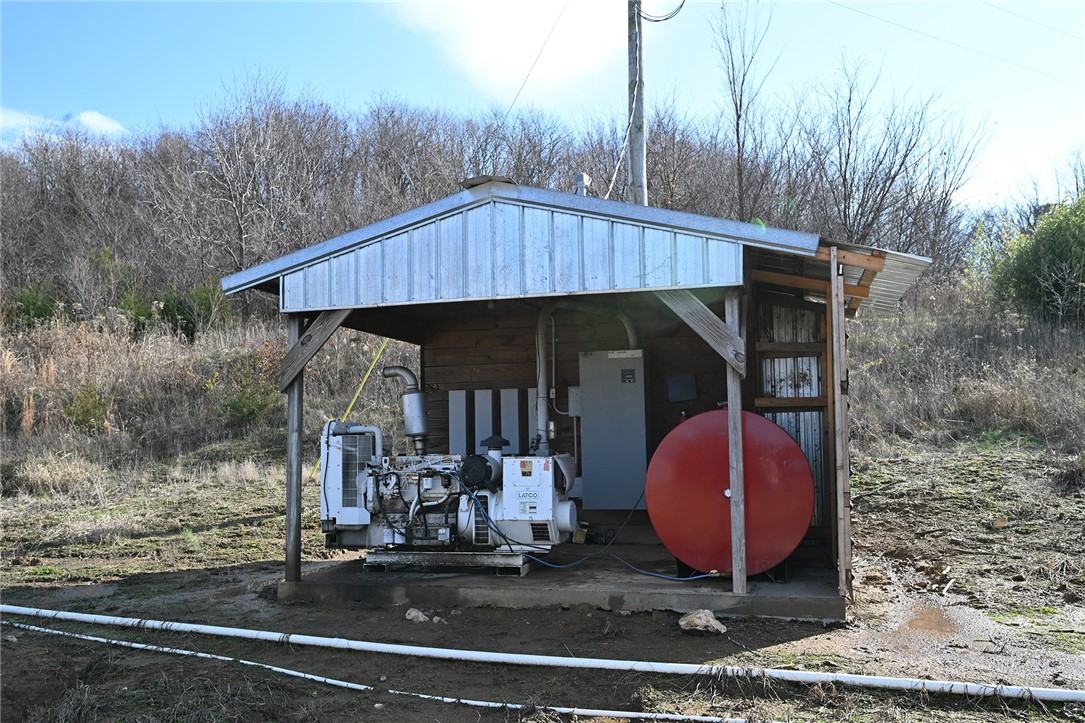 winner winner chicken dinner - Farm