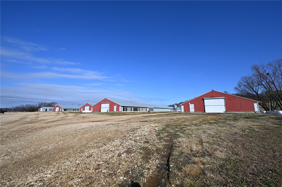 winner winner chicken dinner - Farm