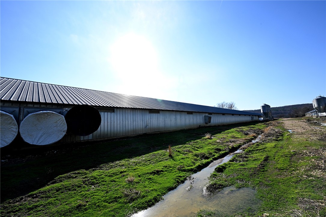 winner winner chicken dinner - Farm