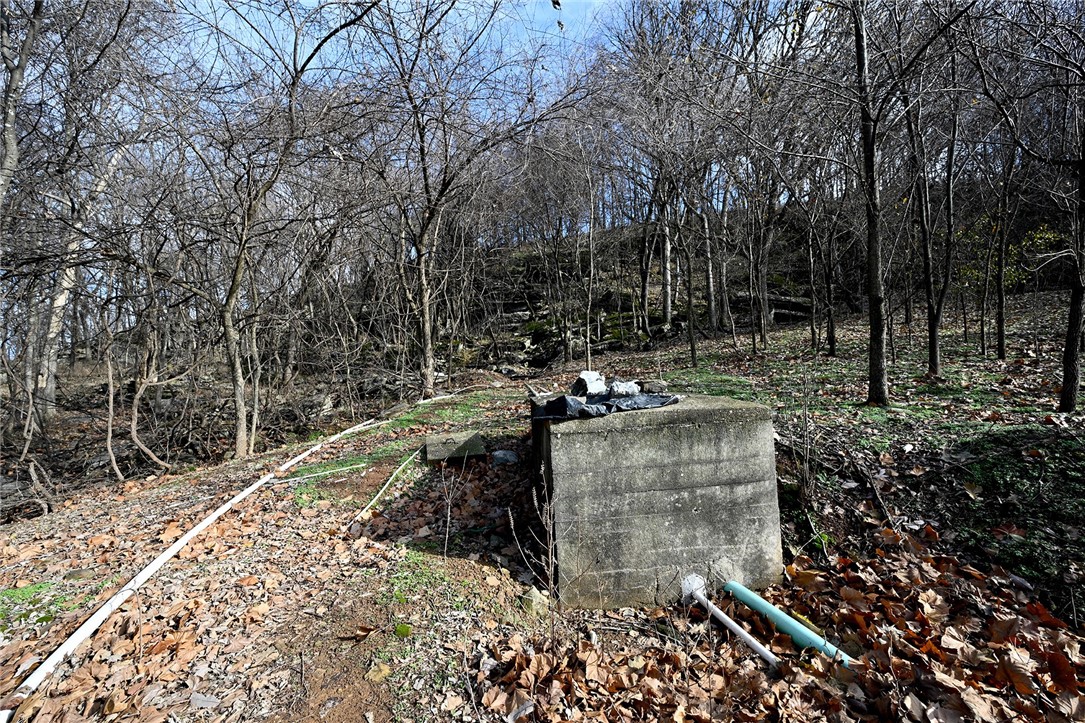 winner winner chicken dinner - Farm