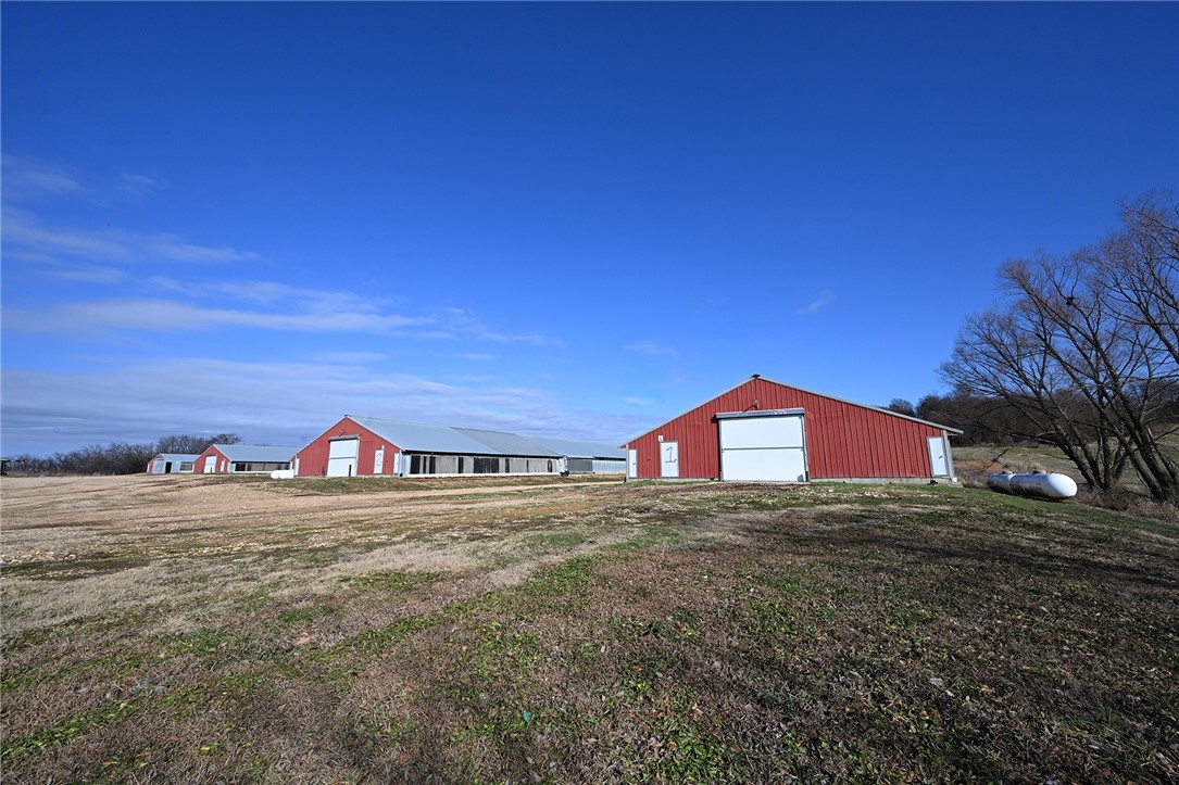 winner winner chicken dinner - Farm