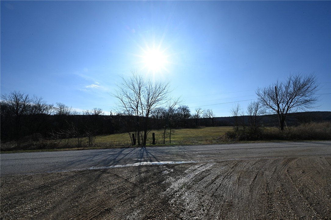 winner winner chicken dinner - Farm