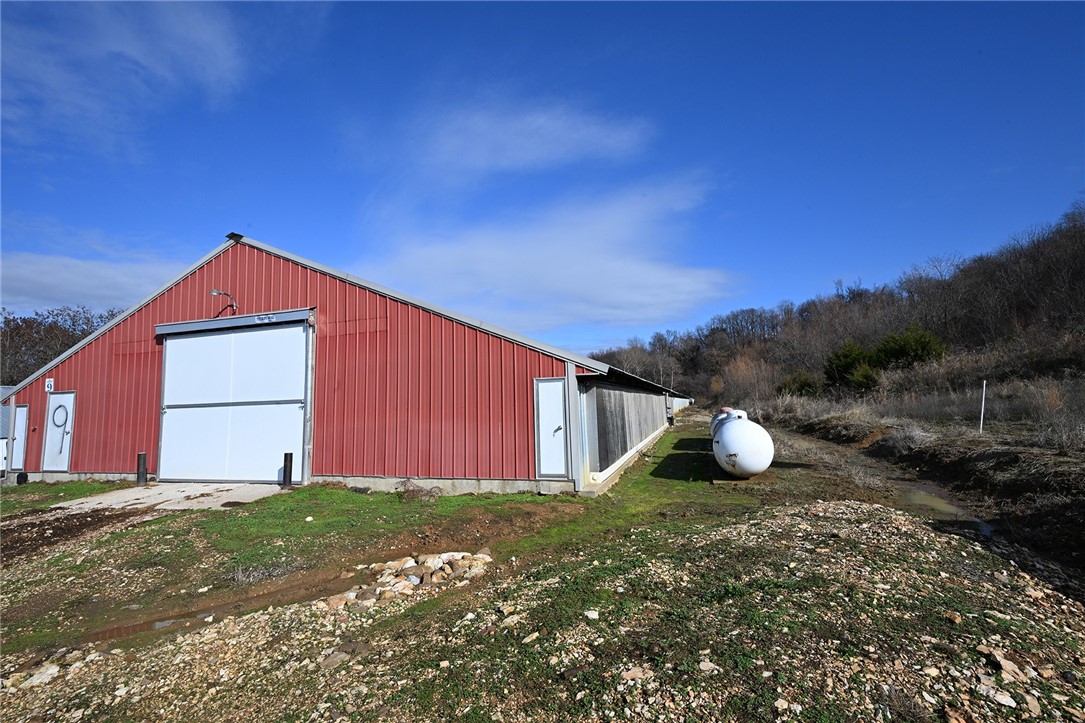 winner winner chicken dinner - Farm