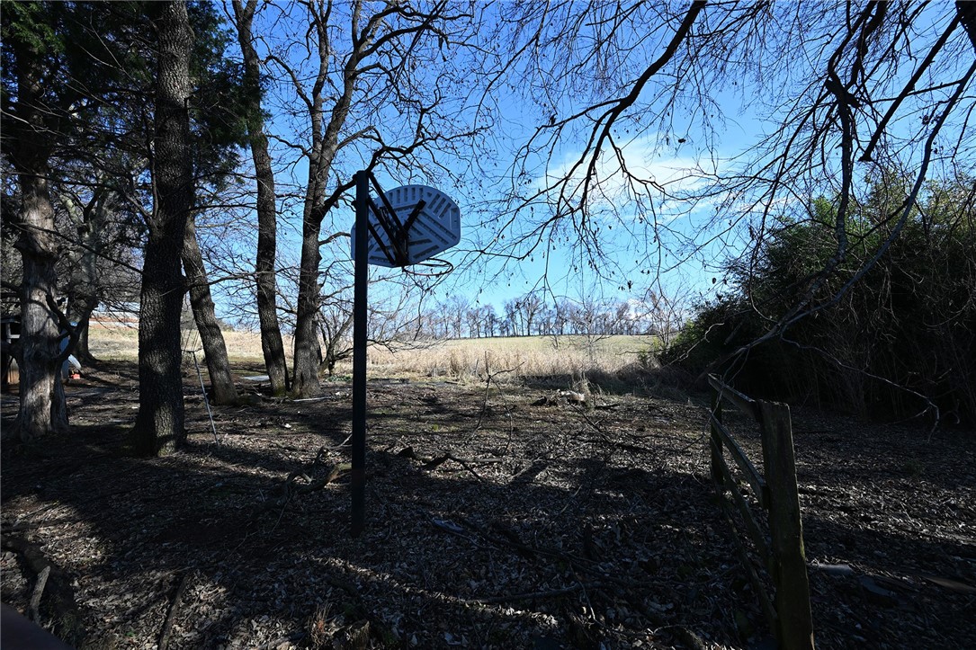 winner winner chicken dinner - Farm