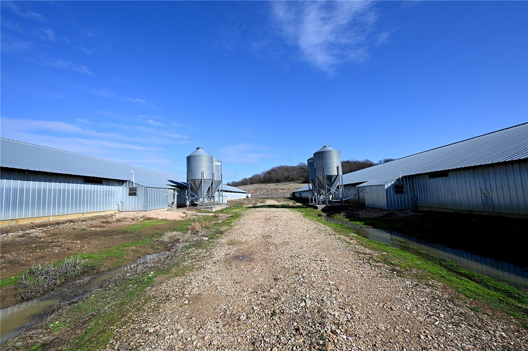 winner winner chicken dinner - Farm