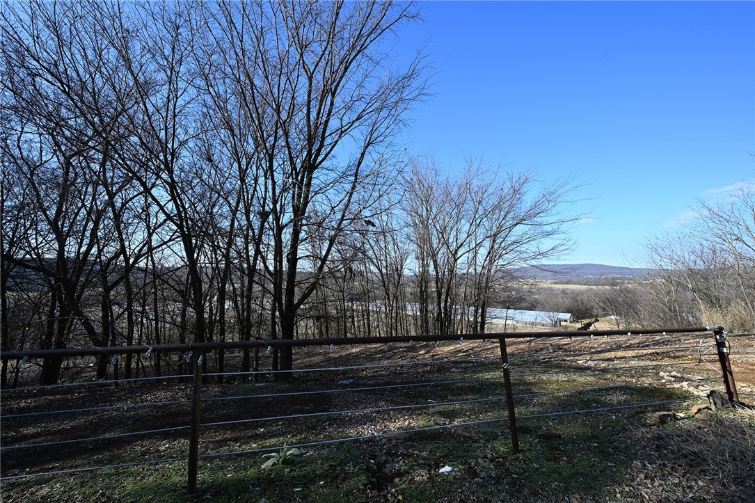 winner winner chicken dinner - Farm