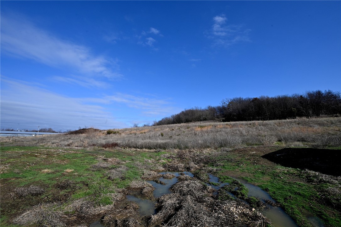 winner winner chicken dinner - Farm