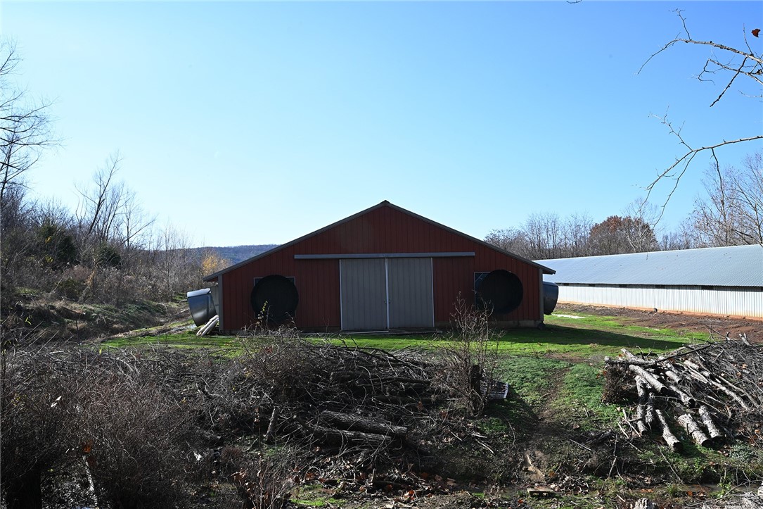 winner winner chicken dinner - Farm