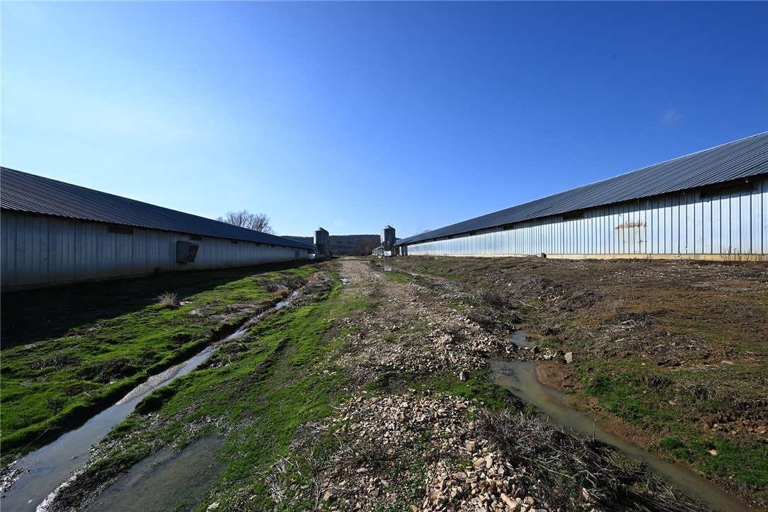 winner winner chicken dinner - Farm