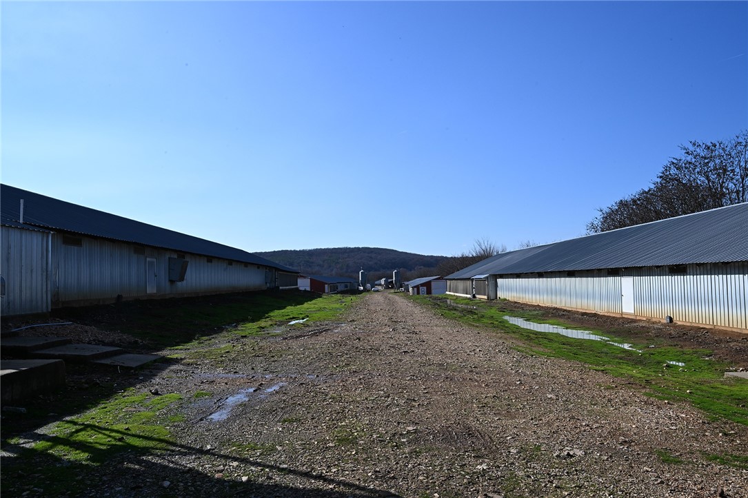 winner winner chicken dinner - Farm