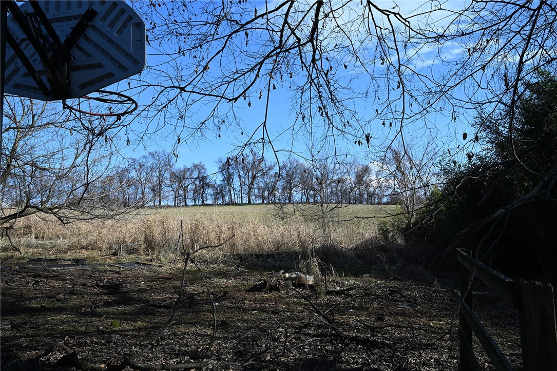 winner winner chicken dinner - Farm