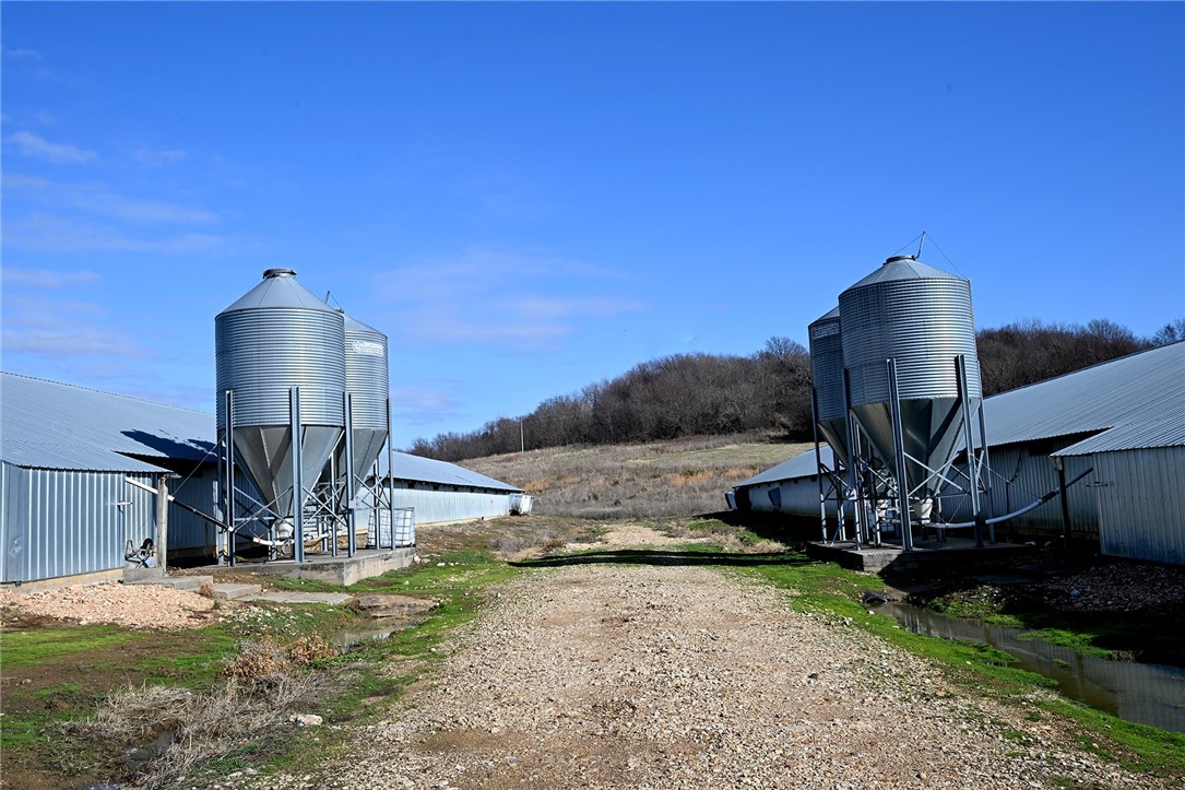 winner winner chicken dinner - Farm