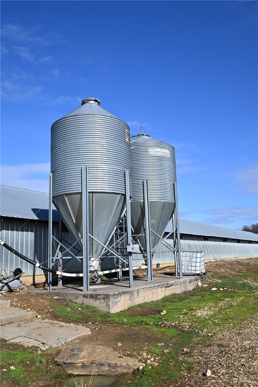 winner winner chicken dinner - Farm