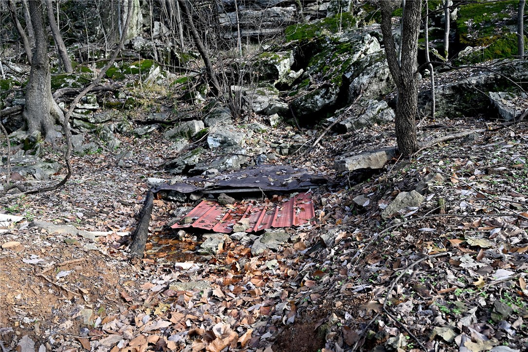 winner winner chicken dinner - Farm