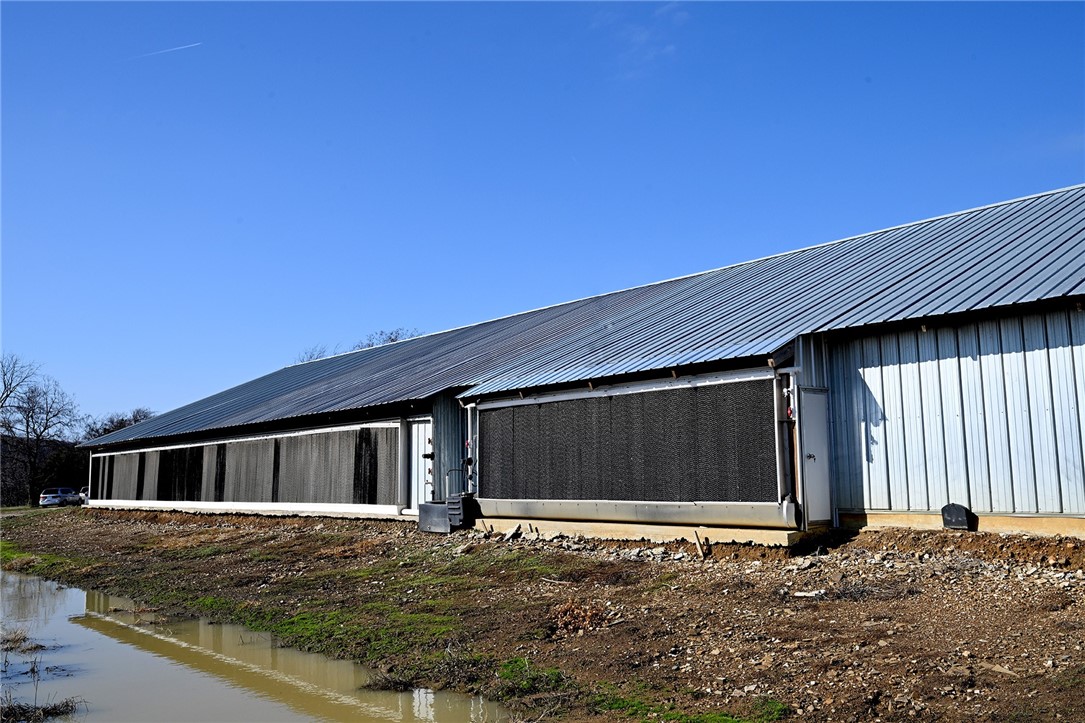 winner winner chicken dinner - Farm