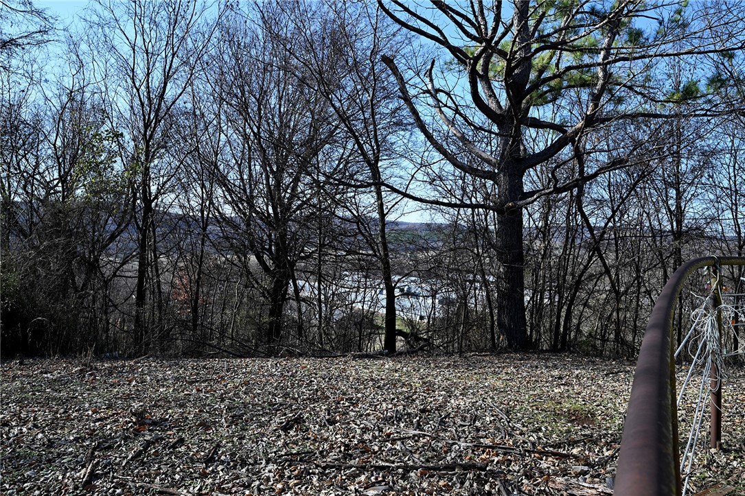 winner winner chicken dinner - Farm