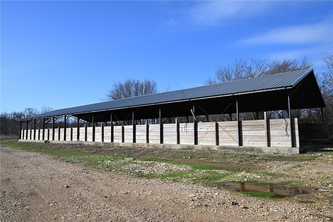 winner winner chicken dinner - Farm