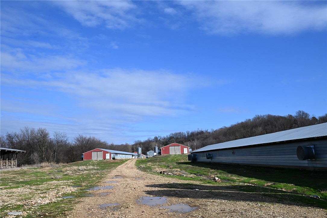 winner winner chicken dinner - Farm