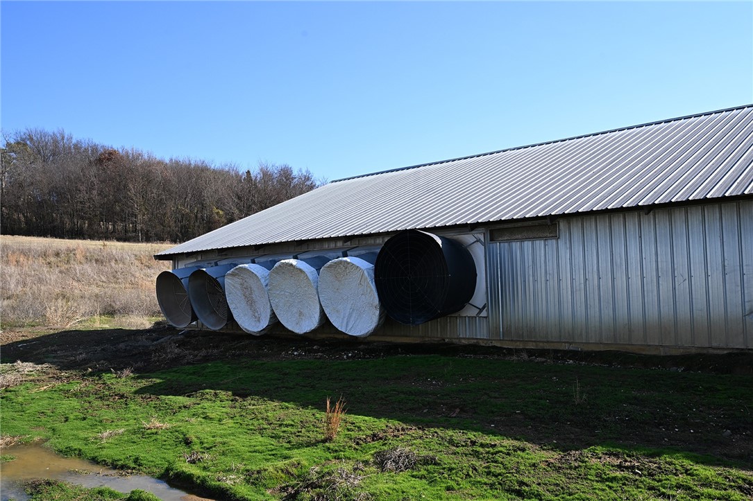 winner winner chicken dinner - Farm