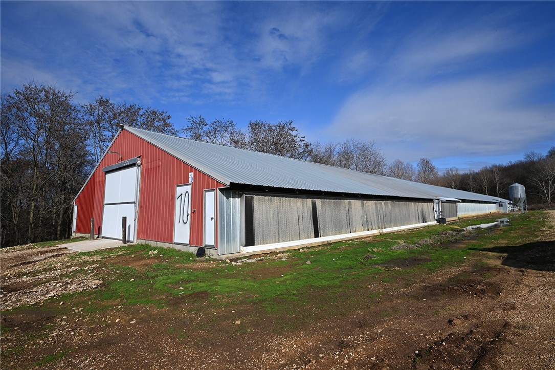 winner winner chicken dinner - Farm