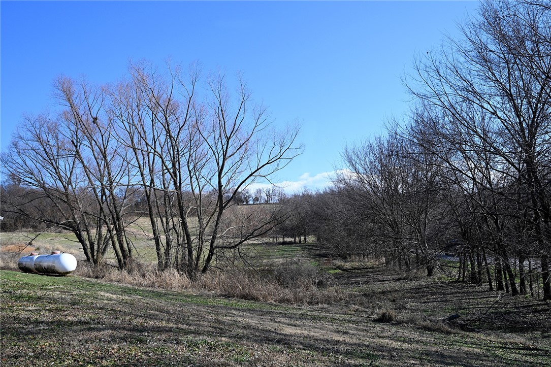 winner winner chicken dinner - Farm