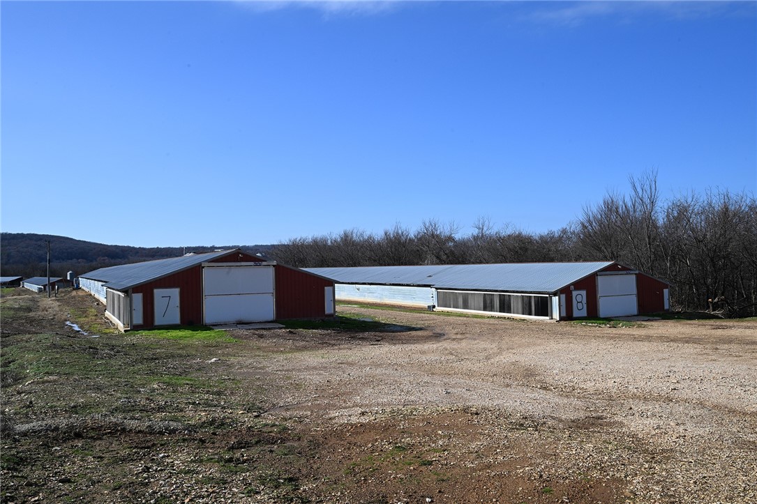 winner winner chicken dinner - Farm