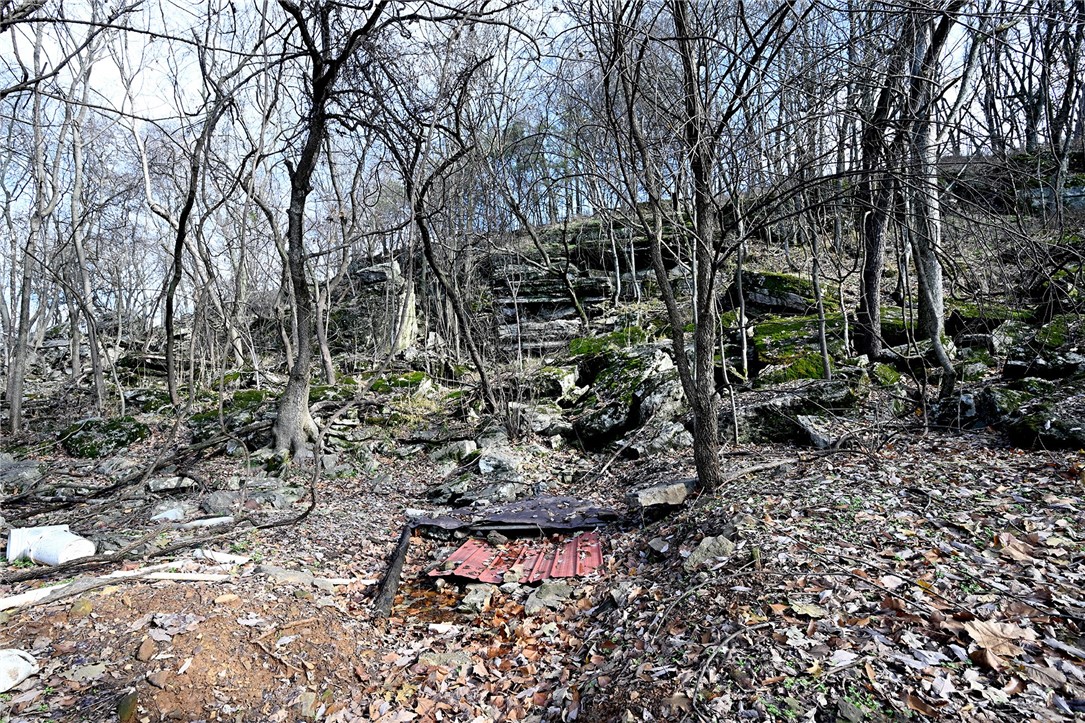 winner winner chicken dinner - Farm