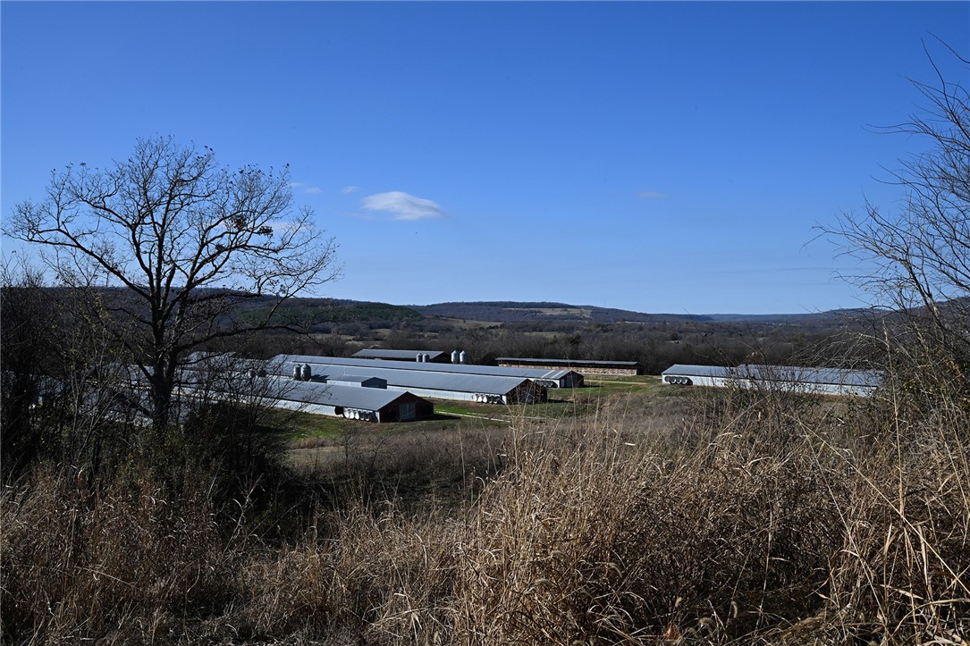 winner winner chicken dinner - Farm