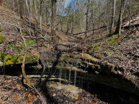 Unimproved Land in Eureka Springs AR 1602 County Road 148 25.jpg