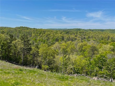 Unimproved Land in Eureka Springs AR 1602 County Road 148 5.jpg