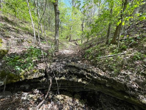 Unimproved Land in Eureka Springs AR 1602 County Road 148 24.jpg