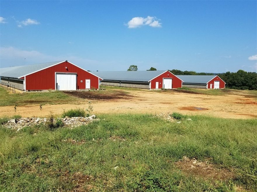 6 house broiler farm in Hindsville. Georges contract, rotem controllers and alarms, generator, water storage tanks, stacking shed, on approx 44 acres.  Good 3 bed 2 bath dwelling house. Agent​​‌​​​​‌​‌​​​‌‌​​​‌‌‌​​‌​​‌‌​​​​ owned.