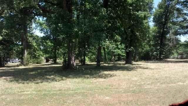 Outstanding level commercial property located in ideal location for new business: This is the last remaining high traffic large commercial tract available in Bull Shoals. Tract is located next to Arvest Bank across from liquor store and next to popular restaurants plus access to Bull Shoals Lake Boat Dock is across the street. This is an ideal location for new business venture. Great investment property.